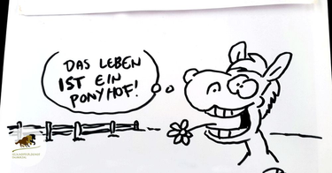 OpenGraph image for islandpferdehof-taubertal.de/aktuelles/detail/article/ruthe.html