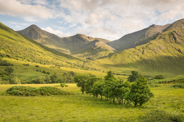 OpenGraph image for johnmuirtrust.org/whats-new/news/1165-the-rise-of-green-lairds