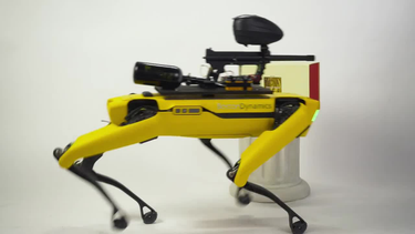 OpenGraph image for jwz.org/blog/2021/02/robot-war-dog-company-objects-to-their-robot-war-dogs-being-called-war-dogs/