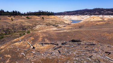 OpenGraph image for latimes.com/california/story/2021-08-05/amid-worsening-drought-lake-orovilles-record-low-water-level-forces-shutdown-of-hydroelectric-power-plant