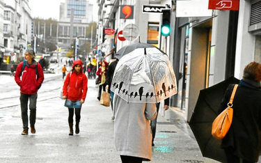 OpenGraph image for letelegramme.fr/finistere/brest/brest-meteo-29-jours-de-pluie-en-octobre-01-11-2019-12422807.php