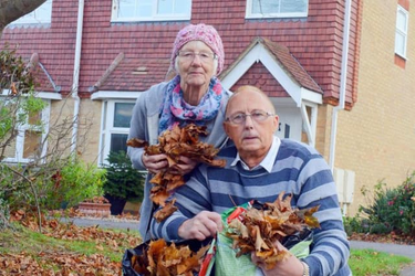 OpenGraph image for littlehamptongazette.co.uk/news/littlehampton-man-s-war-against-maple-tree-i-can-t-use-my-drive-because-of-falling-leaves-1-8713571