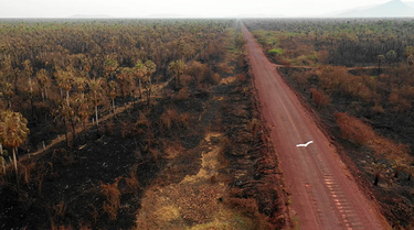 OpenGraph image for lostiempos.com/actualidad/pais/20190915/asentamientos-se-extienden-beni-pando-territorios-indigenas