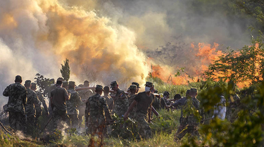 OpenGraph image for lostiempos.com/actualidad/pais/20191003/incendios-diputados-paraguay-culpan-ds-evo-mas-rechaza