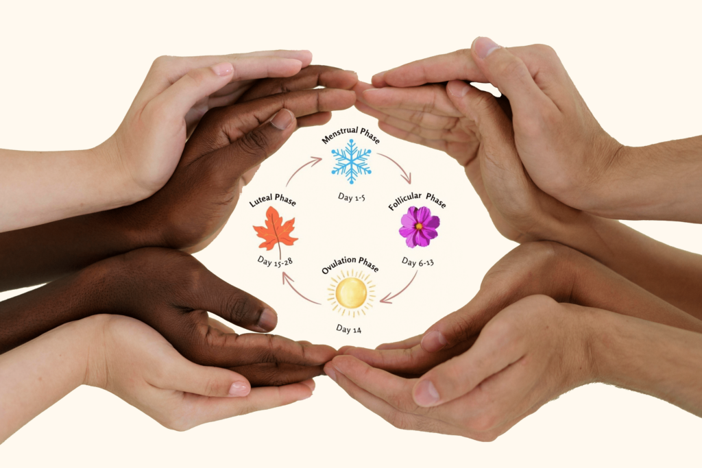 Understanding the 4 Phases of the Menstrual Cycle - Marie Stopes