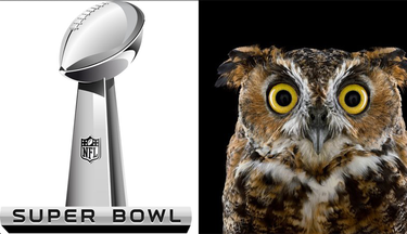 OpenGraph image for mcsweeneys.net/articles/words-that-could-conceivably-be-used-to-describe-both-the-super-bowl-and-a-superb-owl