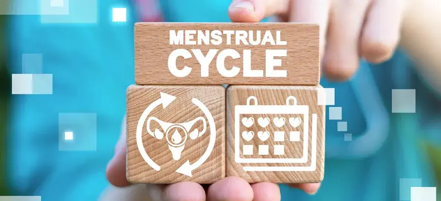 What To Eat During Follicular Phase - Megawecare