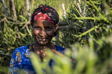 OpenGraph image for menschenfuermenschen.de