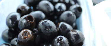 OpenGraph image for midilibre.fr/2019/06/13/bain-de-soude-saumure-et-gluconate-ferreux-le-scandale-des-fausses-olives-noires,8254622.php