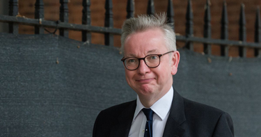 OpenGraph image for mirror.co.uk/news/politics/michael-gove-among-string-ministers-24532620?utm_source=twitter.com&utm_medium=social&utm_campaign=sharebar