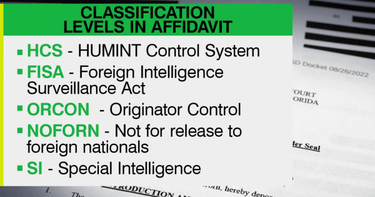OpenGraph image for msnbc.com/symone/watch/a-florida-federal-judge-announces-preliminary-intent-to-appoint-a-special-master-to-review-documents-seized-by-the-fbi-from-mar-a-lago-147212869889