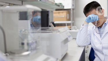 OpenGraph image for nature.com/articles/d41586-018-07479-7