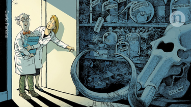 OpenGraph image for nature.com/articles/d41586-019-00857-9