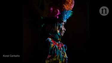 OpenGraph image for nature.com/articles/d41586-019-01166-x