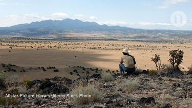 OpenGraph image for nature.com/articles/d41586-019-02918-5