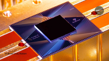 OpenGraph image for nature.com/articles/d41586-019-03213-z