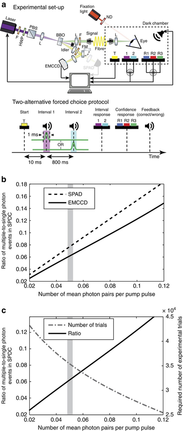 OpenGraph image for nature.com/articles/ncomms12172