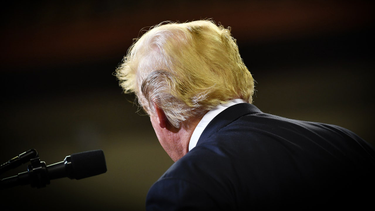 OpenGraph image for newyorker.com/news/letter-from-trumps-washington/i-listened-to-all-six-trump-rallies-in-october-you-should-too