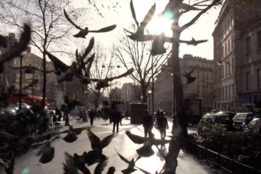 OpenGraph image for nouvelobs.com/rue89/rue89-nos-vies-connectees/20131218.RUE0899/etre-vivant-le-film-d-arte-en-integralite-la-vraie-vie-de-clochard.html