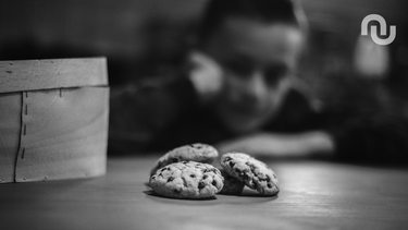 OpenGraph image for numerama.com/tech/708893-pourquoi-google-nest-pas-encore-totalement-tire-daffaire-avec-la-cnil-et-les-cookies.html