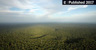 OpenGraph image for nytimes.com/2017/03/03/science/amazon-rain-forest-plants-domesticate.html