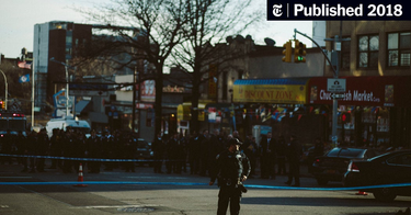 OpenGraph image for nytimes.com/2018/04/04/nyregion/police-shooting-brooklyn-crown-heights.html