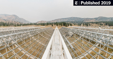 OpenGraph image for nytimes.com/2019/01/10/science/radio-bursts-universe-astronomy.html