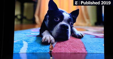 OpenGraph image for nytimes.com/2019/09/11/opinion/apple-keynote-2019.html