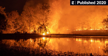 OpenGraph image for nytimes.com/2020/01/03/opinion/australia-fires-climate-change.html