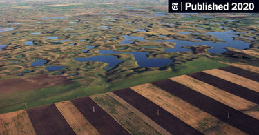 OpenGraph image for nytimes.com/2020/01/22/climate/trump-environment-water.html