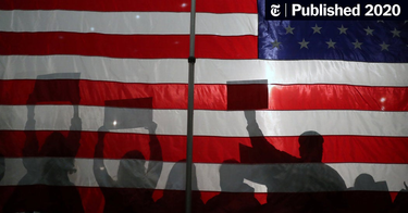 OpenGraph image for nytimes.com/2020/01/31/opinion/does-it-matter-who-the-democrats-choose.html