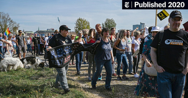 OpenGraph image for nytimes.com/2020/10/11/world/europe/qanon-is-thriving-in-germany-the-extreme-right-is-delighted.html