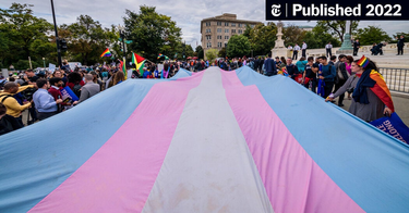 OpenGraph image for nytimes.com/2022/06/10/science/transgender-teenagers-national-survey.html
