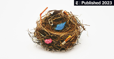 OpenGraph image for nytimes.com/2023/04/18/magazine/twitter-dying.html