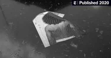 OpenGraph image for nytimes.com/interactive/2020/06/19/arts/black-photographers-self-portraits.html