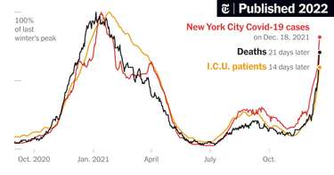 OpenGraph image for nytimes.com/interactive/2022/01/09/us/omicron-cities-cases-hospitals.html