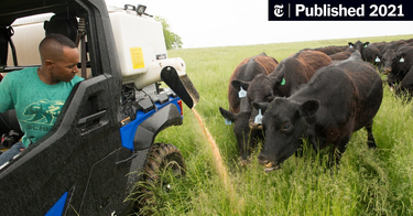 OpenGraph image for nytimes.com/live/2021/06/24/us/joe-biden-news/a-federal-judge-appointed-by-bush-halts-loan-forgiveness-payments-to-minority-farmers