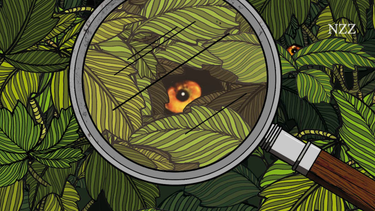 OpenGraph image for nzz.ch/feuilleton/die-weltveraenderungsillusion-i-ld.1344231