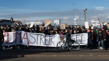 OpenGraph image for nzz.ch/feuilleton/klimaproteste-alt-und-jung-in-unreife-vereint-ld.1476994