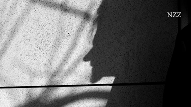 OpenGraph image for nzz.ch/feuilleton/was-ist-ein-autor-ld.1335782