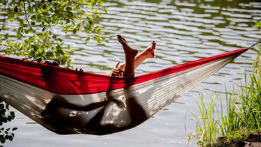 OpenGraph image for op-online.de/offenbach/wetter-deutschland-rekordsommer-droht-experte-schockprognose-zr-13372764.html