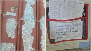 OpenGraph image for opinion.com.bo/articulo/cochabamba/parlamentarios-evistas-denuncian-uso-armas-fuego-que-heridos/20241102152943959354.html