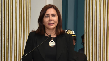 OpenGraph image for opinion.com.bo/articulo/pais/gobierno-pide-que/20200806090411781195.html