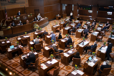 OpenGraph image for oregonlive.com/politics/2023/05/oregon-legislators-cancel-hearing-on-right-to-rest-homelessness-bill-after-uproar.html