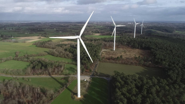 OpenGraph image for ouest-france.fr/monde/etats-unis/les-eoliennes-tuent-chaque-annee-plus-d-un-million-d-oiseaux-aux-etats-unis-selon-une-etude-7141664