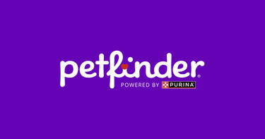 OpenGraph image for petfinder.com/cat/fishtopher-58953627/nj/blackwood/homeward-bound-pet-adoption-center-inc-nj171/