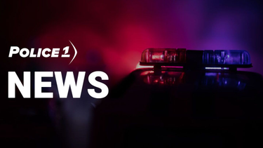 OpenGraph image for police1.com/police-products/vehicles/personal-transportation/articles/more-cops-adopt-segway-patrol-26uhBv2hi14wD5Ub/