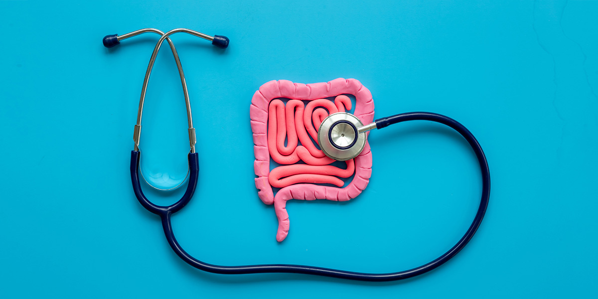 The Relationship Between Gut Health and Menstrual Cycles