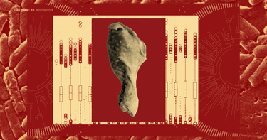 OpenGraph image for propublica.org/article/how-propublica-used-genomic-sequencing-data-to-track-an-ongoing-salmonella-outbreak