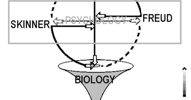 OpenGraph image for psychologytoday.com/us/blog/theory-knowledge/201601/the-is-psychology-science-debate